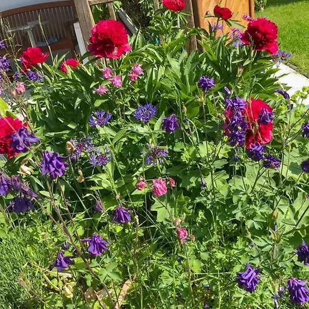 Boehmerwaldnest