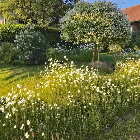Hébergement de vacances Boehmerwaldnest Schönsee
