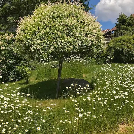 Boehmerwaldnest Hébergement de vacances Schönsee