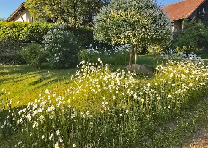 Σπίτι διακοπών Boehmerwaldnest Schönsee