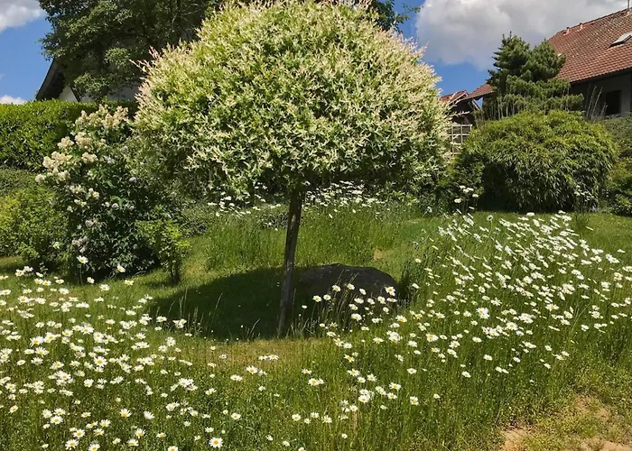 Boehmerwaldnest Σπίτι διακοπών Schönsee