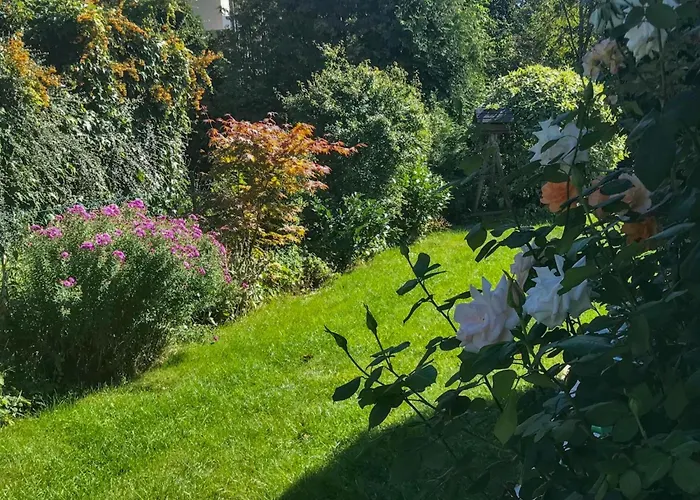 Boehmerwaldnest * Schönsee