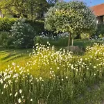 度假居 Boehmerwaldnest Schönsee