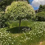 Boehmerwaldnest 度假居 Schönsee