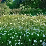 Boehmerwaldnest 度假居 Schönsee
