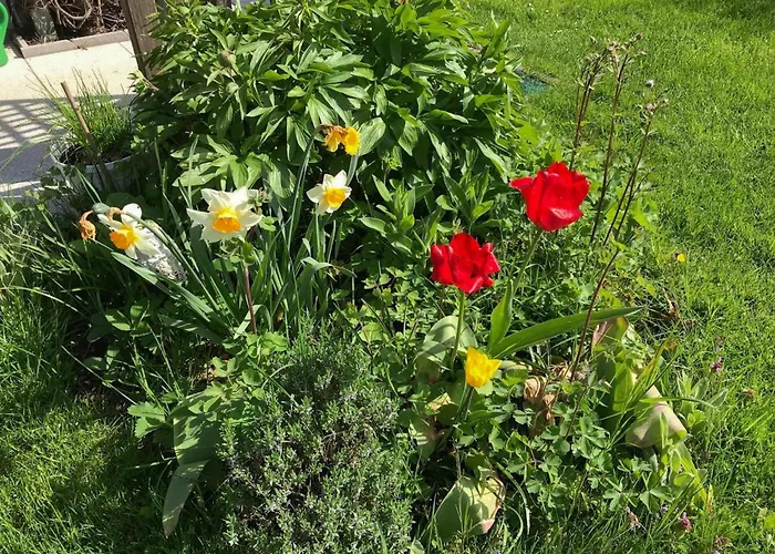 Holiday home Boehmerwaldnest *