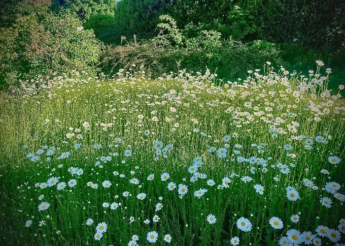Boehmerwaldnest Prázdninový dům Schönsee